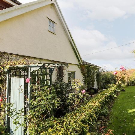 Claire'S Cottage Poughill  Exterior foto